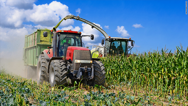 170213111654 Us Corn Field Nafta 780x439.jpg