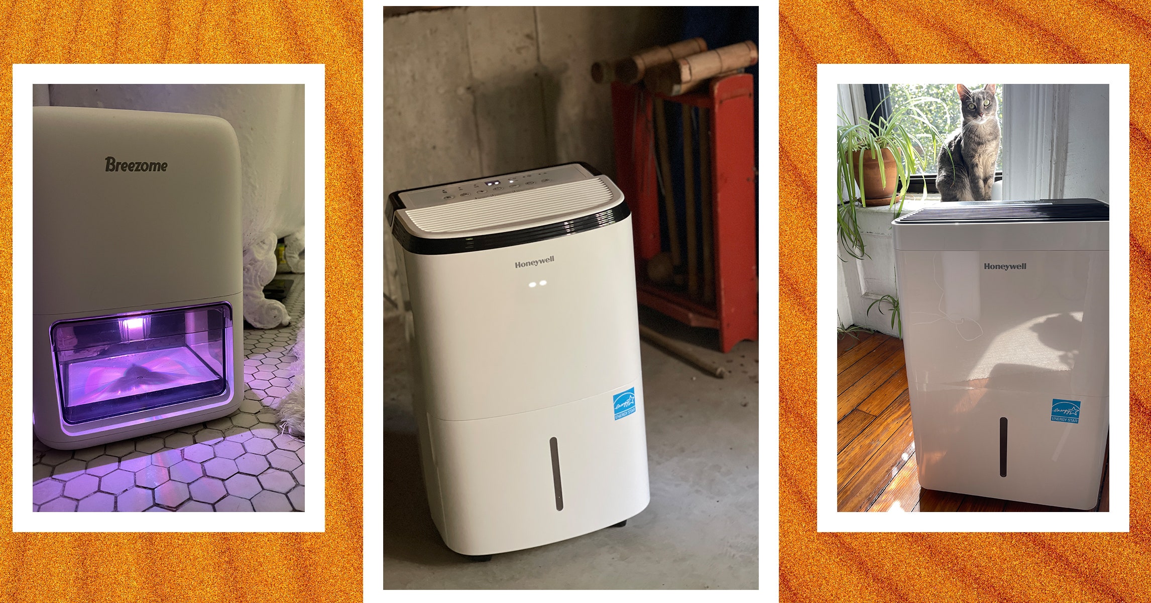 4 Best Dehumidifiers We’ve Tested and Reviewed