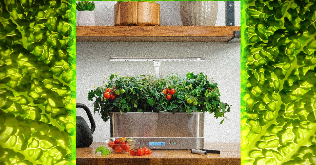 AeroGarden, a Pandemic-Era Phenomenon, Is No More. What Happens Next?